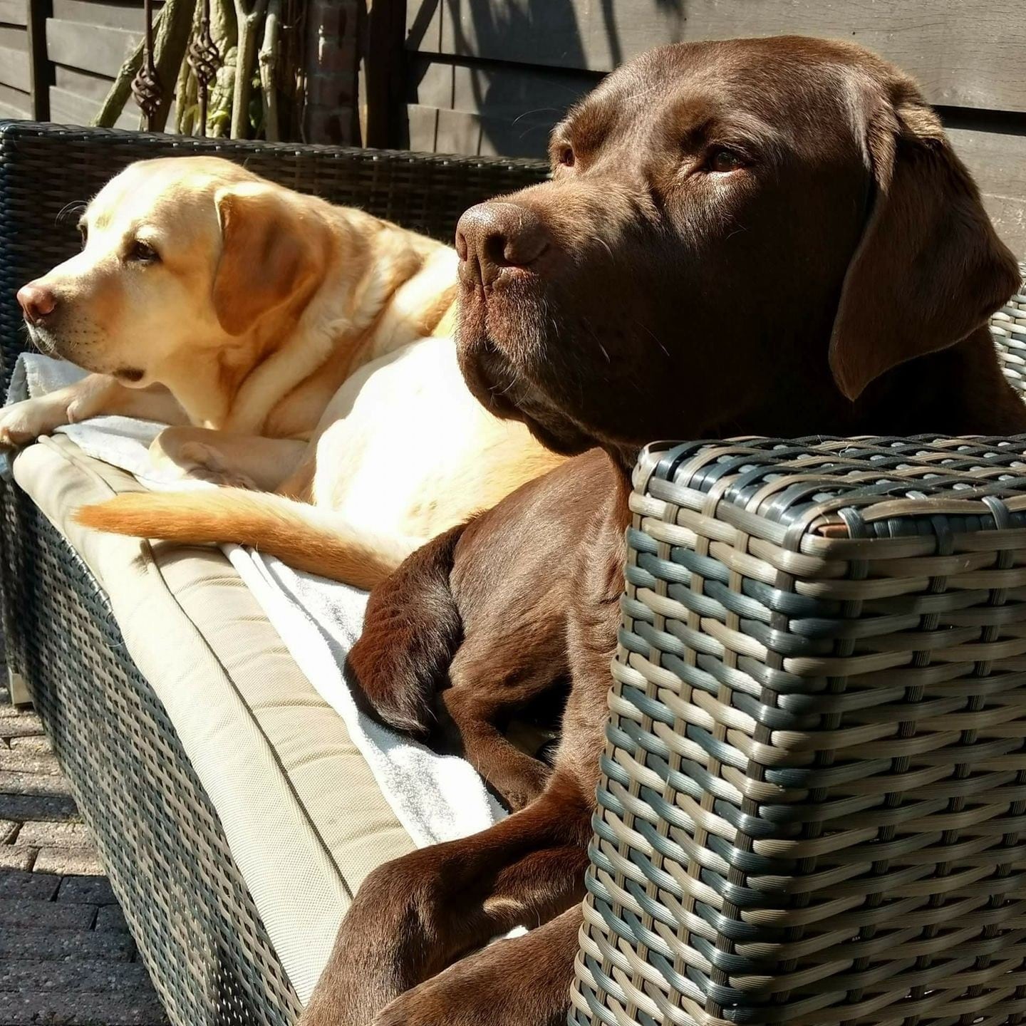 stichting-zino-choco-en-max