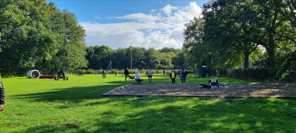 hondenspeeltuin2