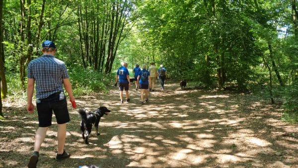 Teamdag Stichting Zino 2023